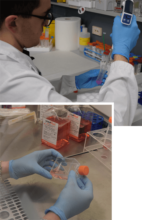 Laboratorio di Immuno-Oncologia